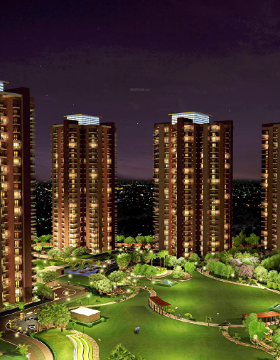 RG Luxury Homes Phase 2