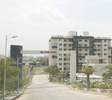Blithe Icon Wing C
