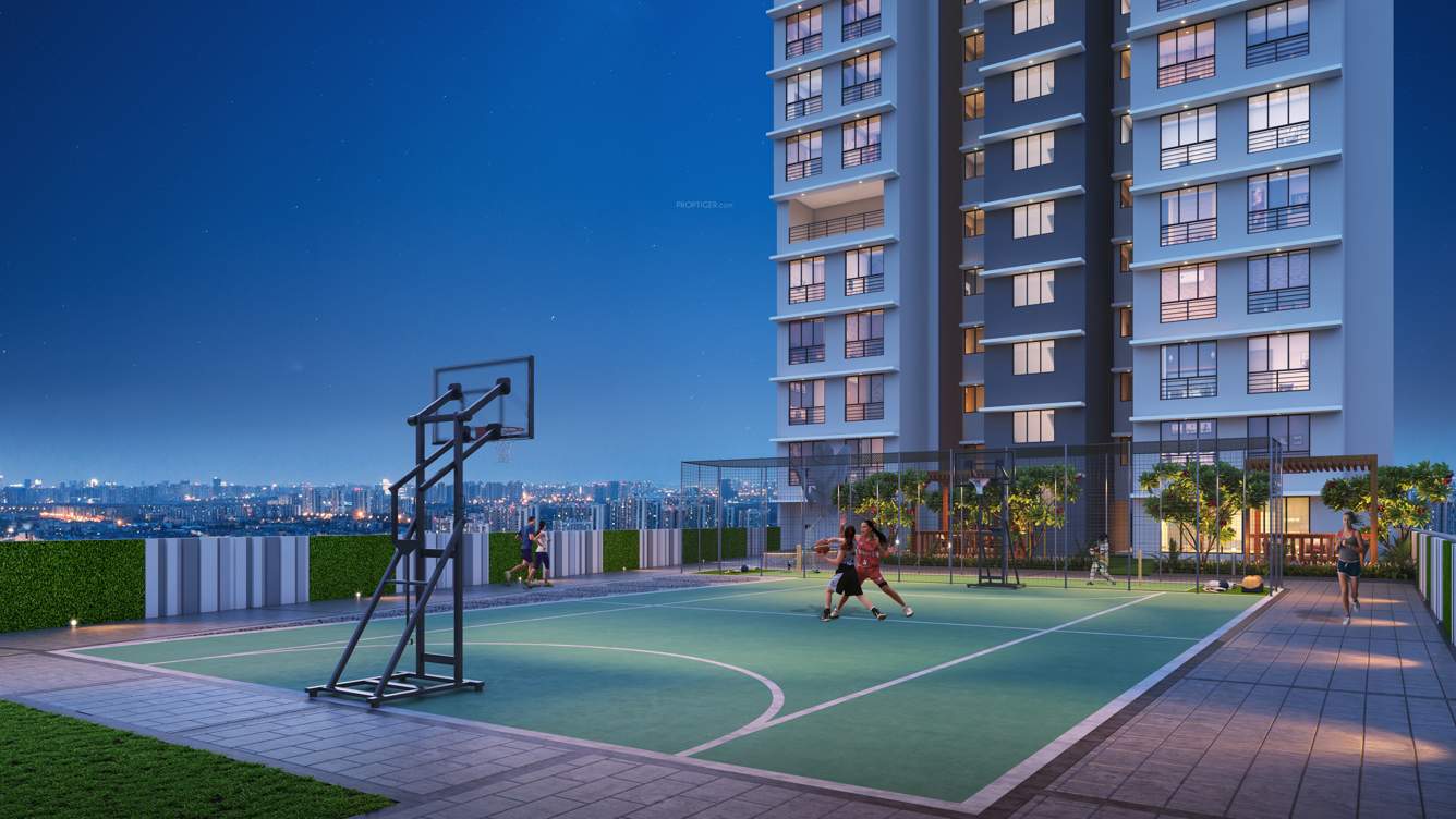  elite Basketball Court