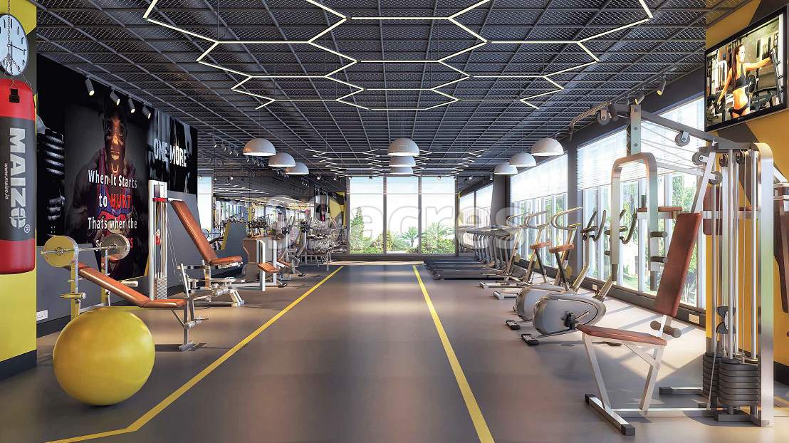 seawoods coral at west square Gymnasium