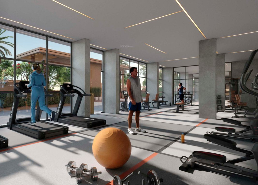  park altezza Gymnasium