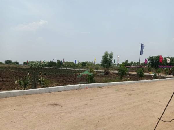 Elevation rivers-edge-nature-greens Elevation