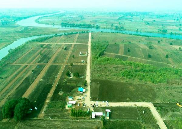  rivers-edge-nature-greens Plot