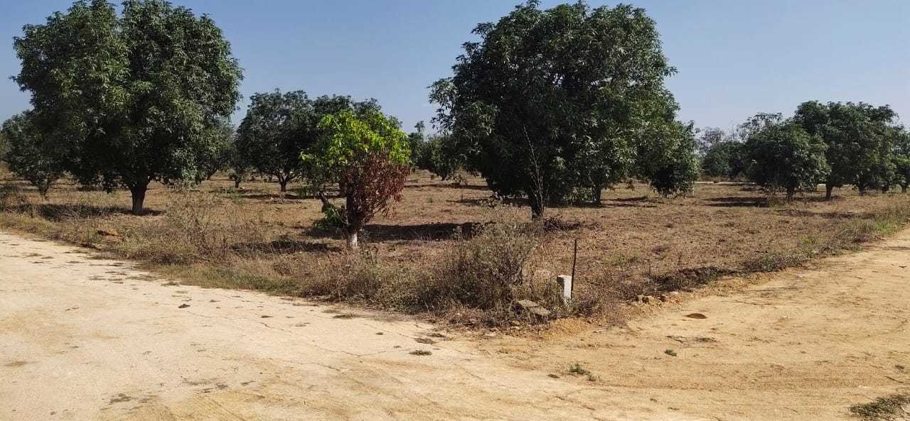  rivers edge nature greens Plot