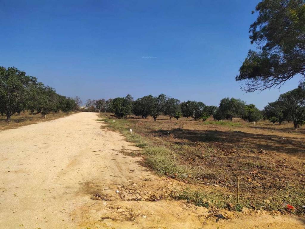  rivers edge nature greens Plot