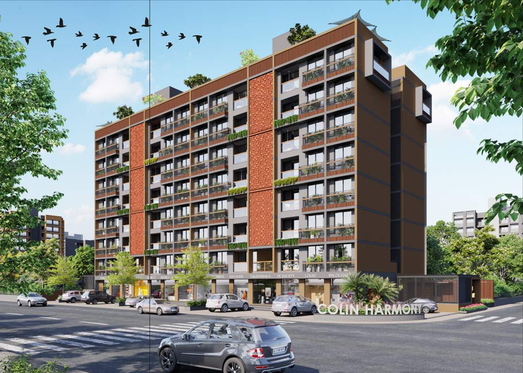  colin harmony Elevation