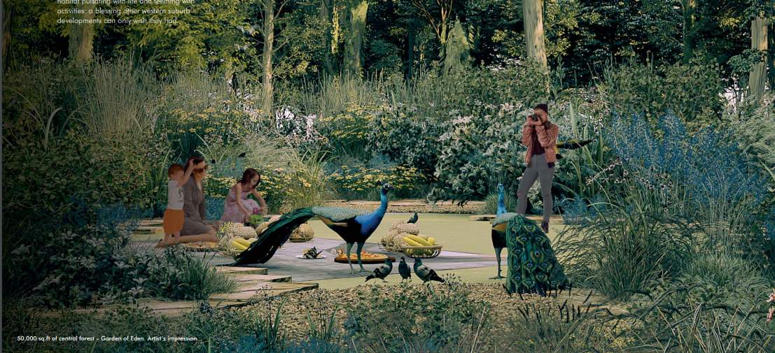  woods tower 7 Landscape Garden and Tree Planting