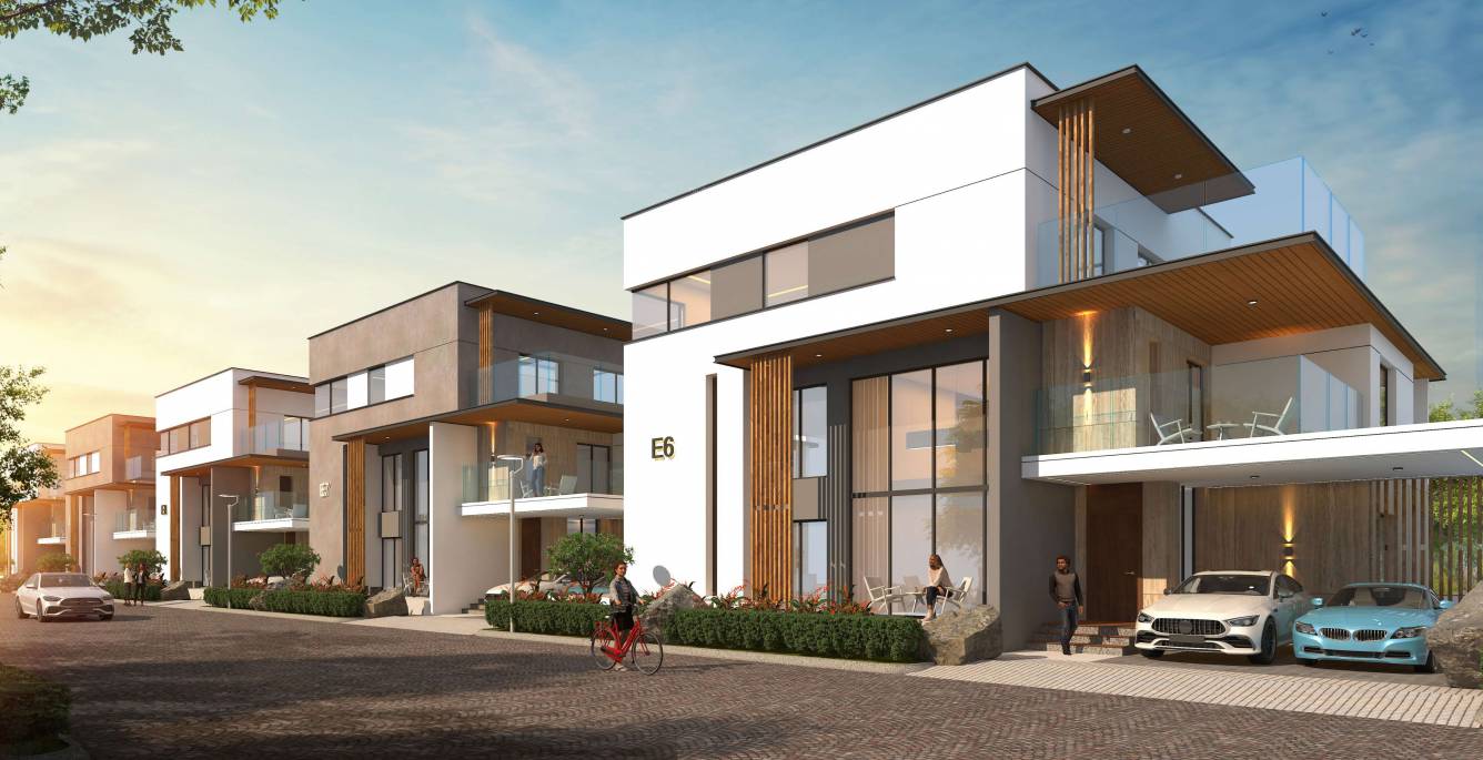  villas elevation concept Elevation