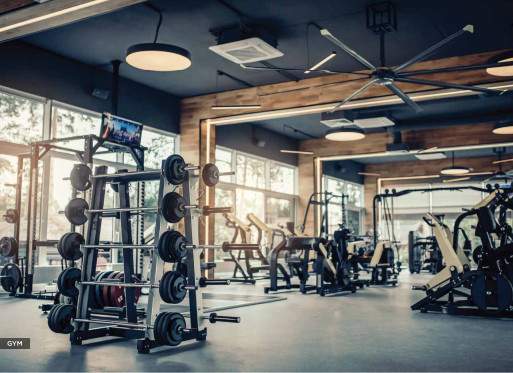  ilife mundhwa omega b wing Gymnasium