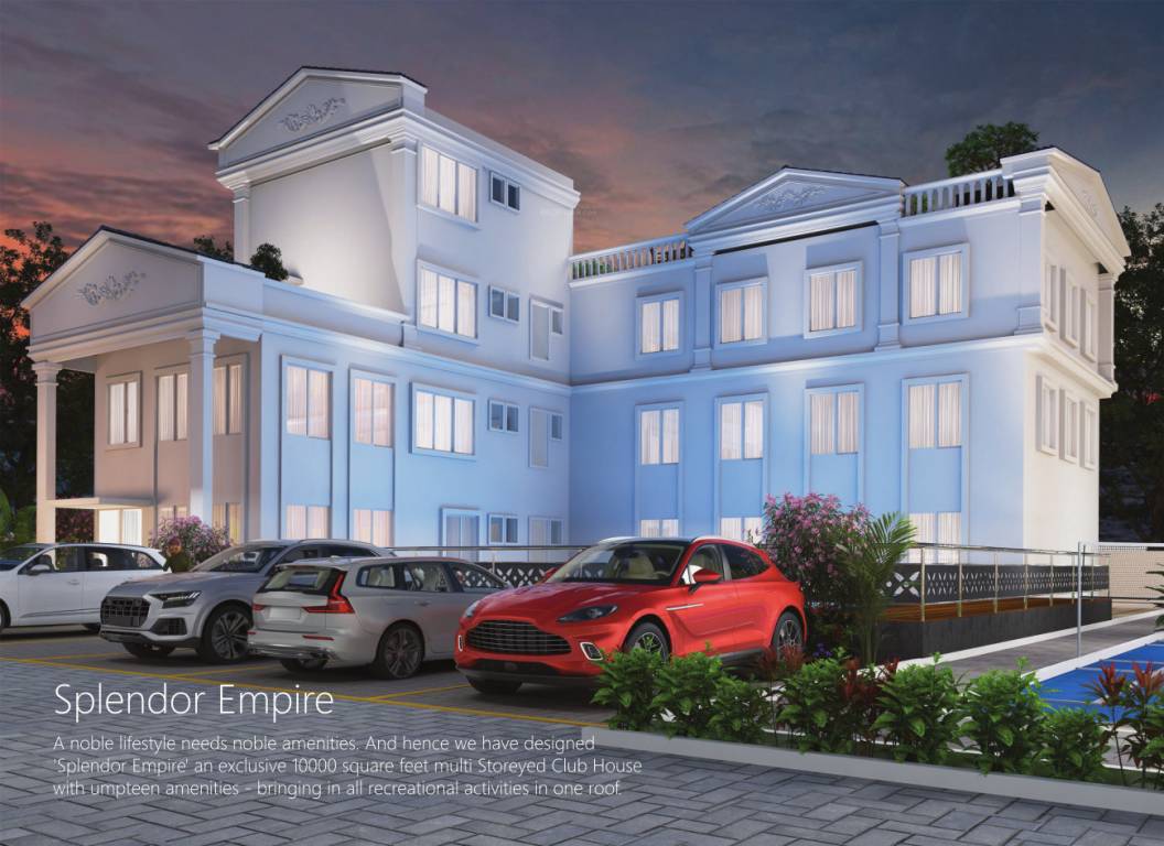  signature splendor Others