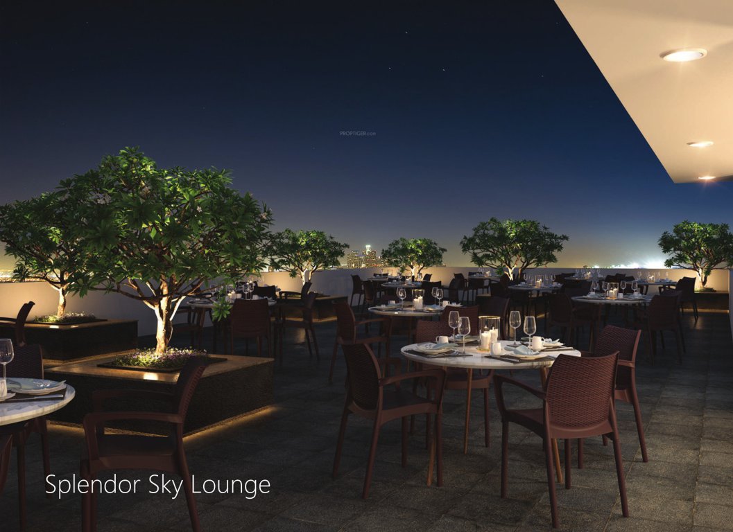  signature splendor Others