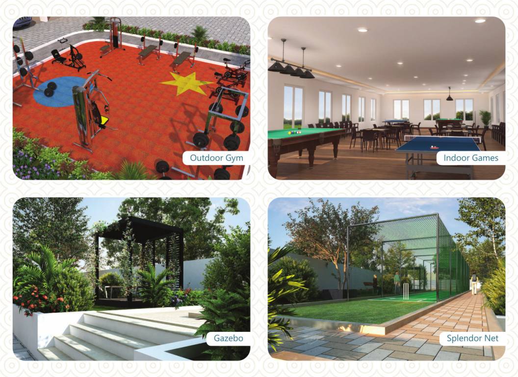  signature splendor Others