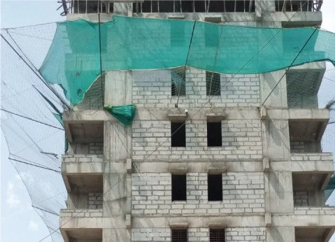  marigold calendula Marigold Calendula Building A Construction Status Jan 25