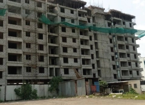  marigold calendula Marigold Calendula Building A Construction Status Jan 25