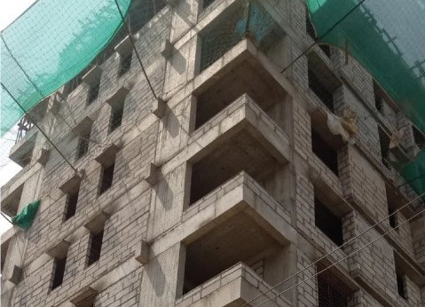  marigold calendula Marigold Calendula Building A Construction Status Jan 25