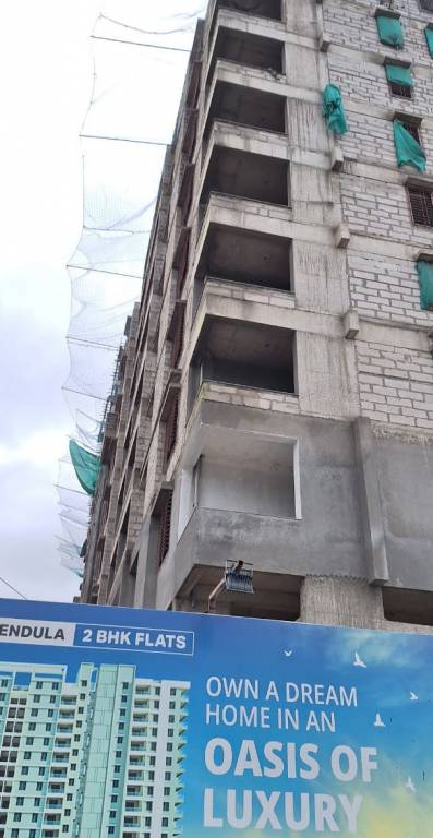 marigold calendula Marigold Calendula Building A Construction Status Jan 25