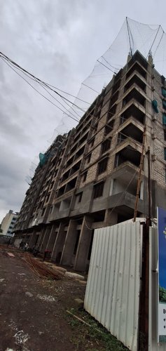  marigold-calendula Marigold Calendula Building A Construction Status Jan-25