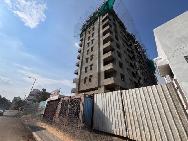  marigold calendula Marigold Calendula Building A Construction Status Oct 24