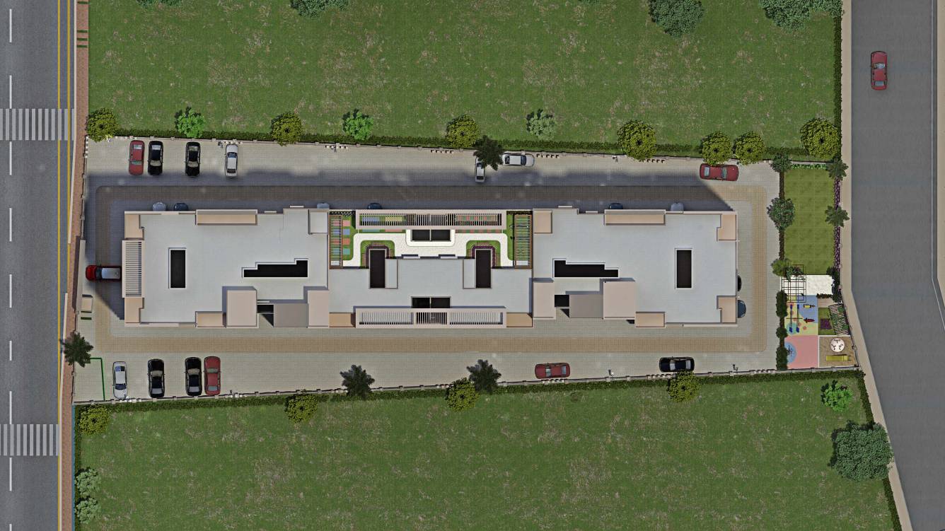  marigold calendula Layout Plan