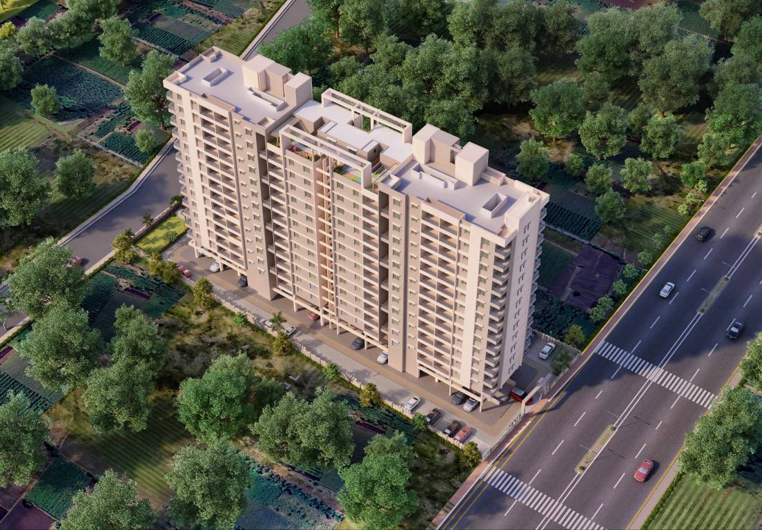  marigold calendula Elevation