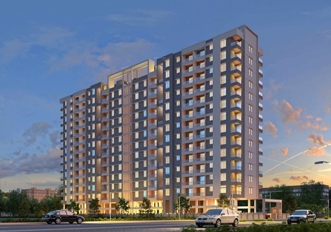  marigold calendula Elevation