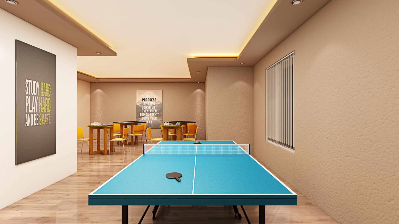  marigold calendula Others