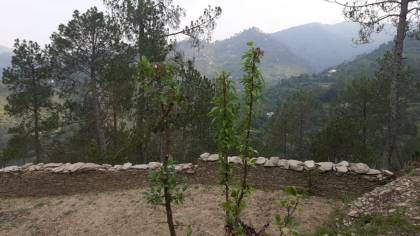 Elevation divine-homes Elevation