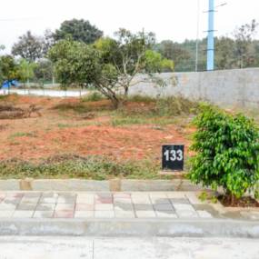 Elevation green-city Elevation