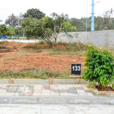 green-city Elevation Elevation