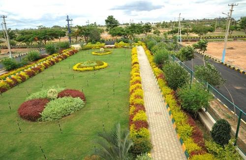  township-phase-3 Landscape Garden and Tree Planting