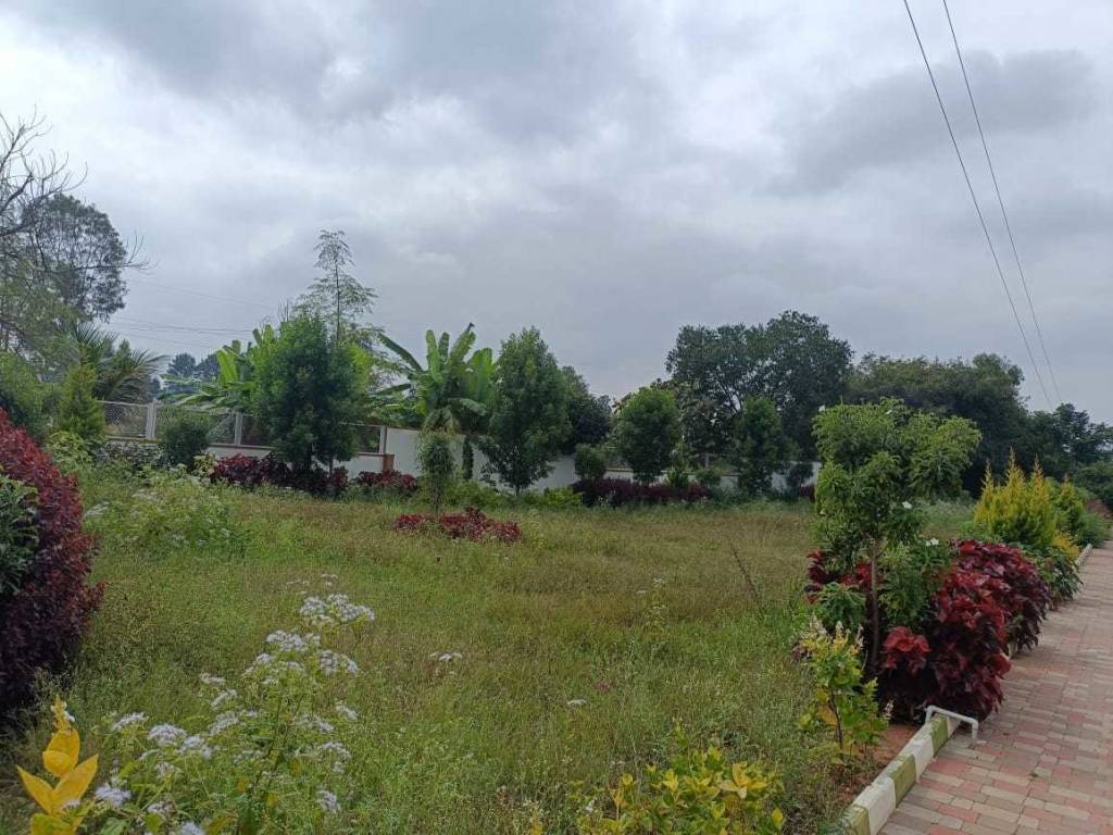  township phase 3 Plot