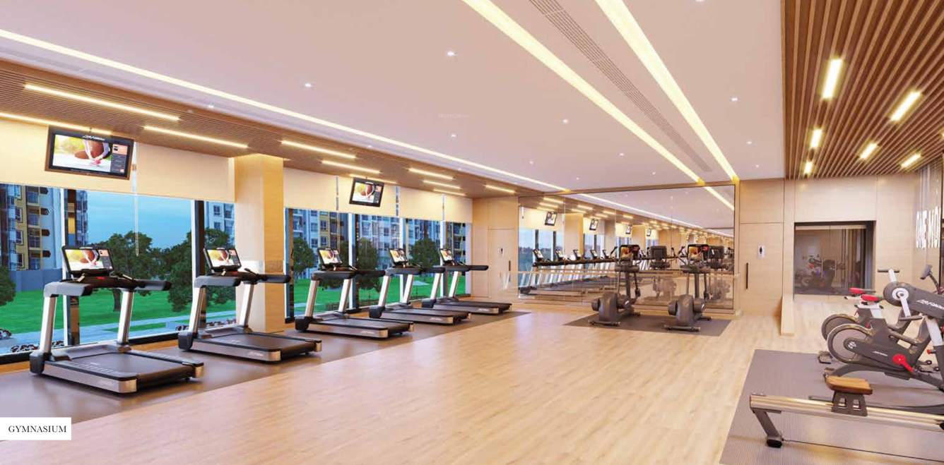 seawoods jasper at west square Gymnasium