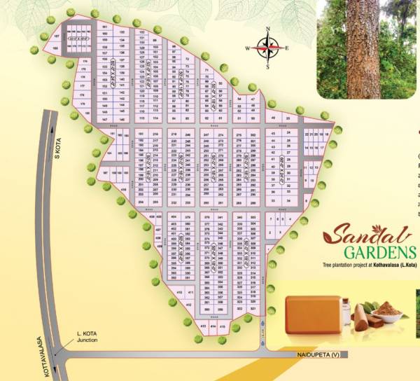  red-sandel-garden Layout Plan
