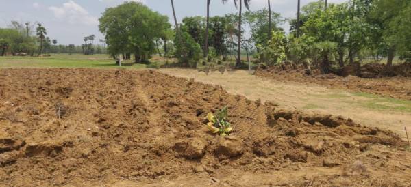  red-sandel-garden Elevation