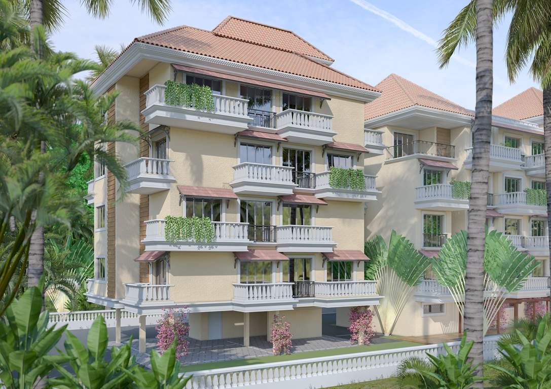  21 armando pereira Elevation