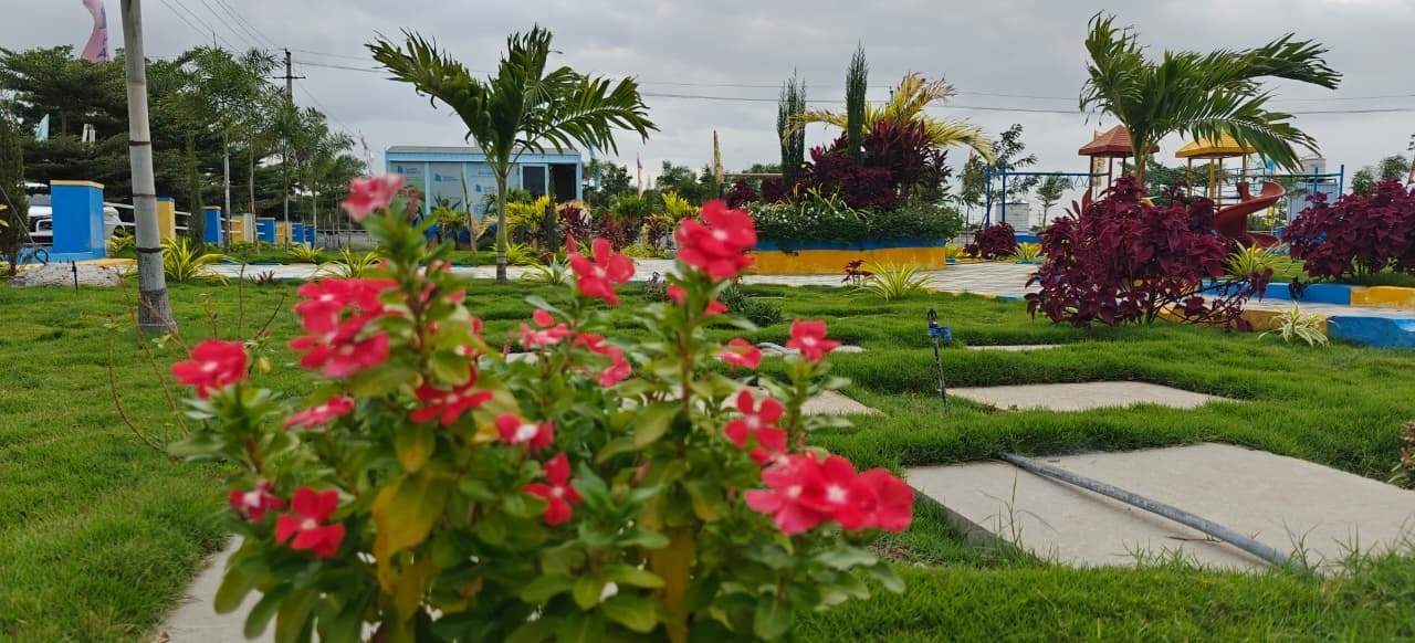  shree samprada Landscape Garden and Tree Planting