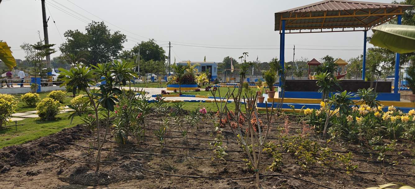  shree samprada Landscape Garden and Tree Planting