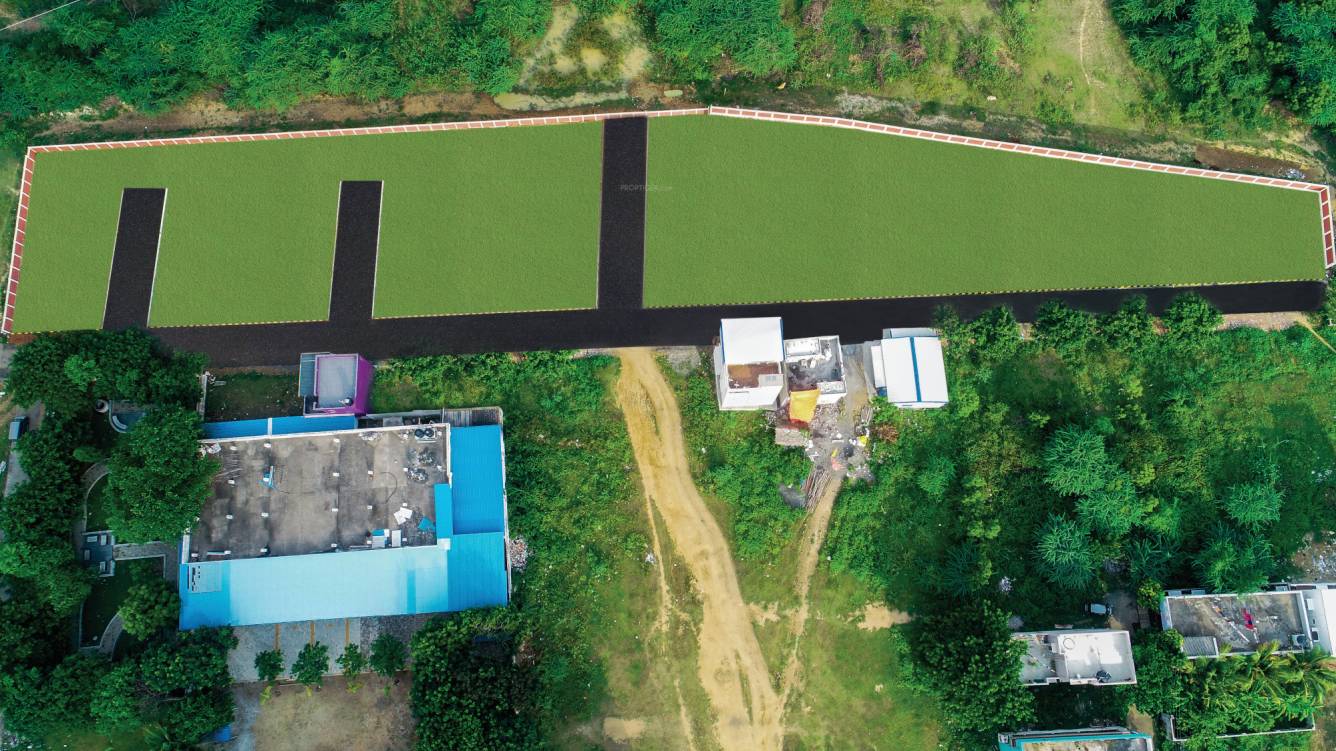  platina extension Plot