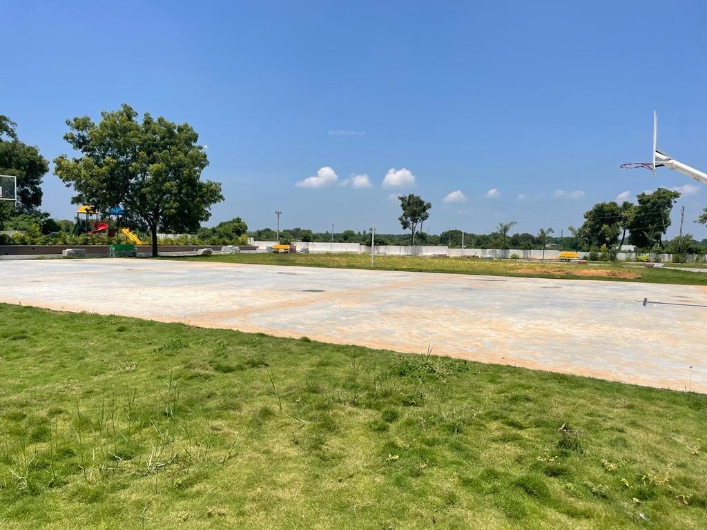  golden breeze 4 Plot