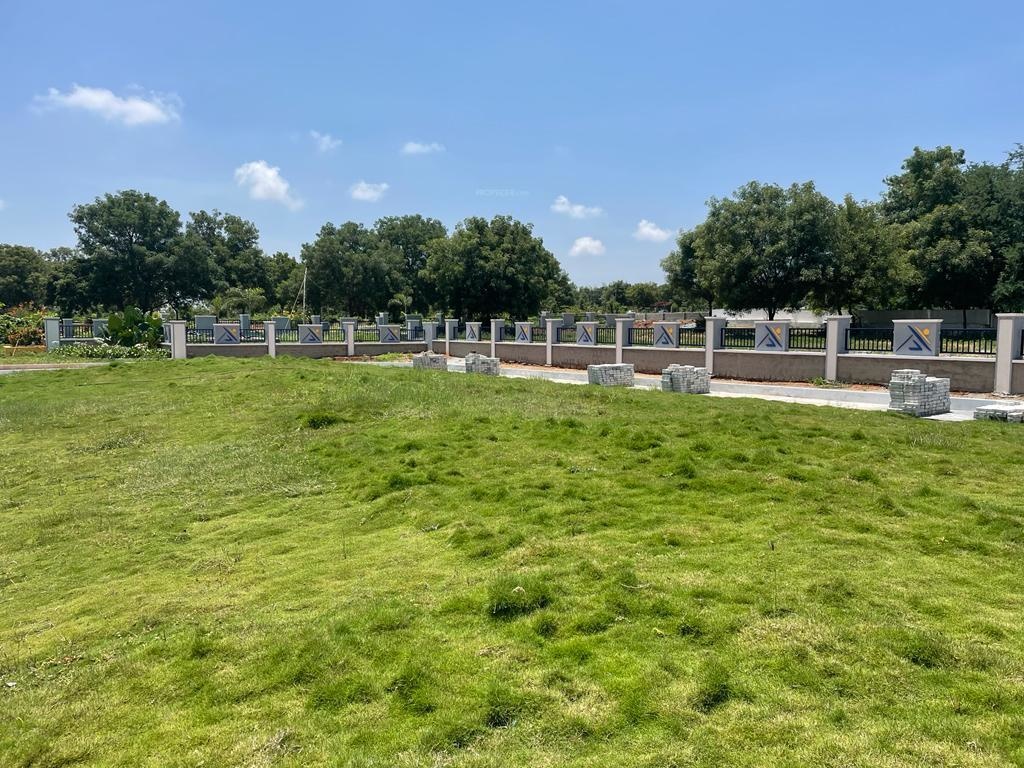  golden breeze 4 Plot