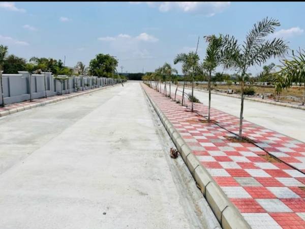  golden-breeze-4 Plot