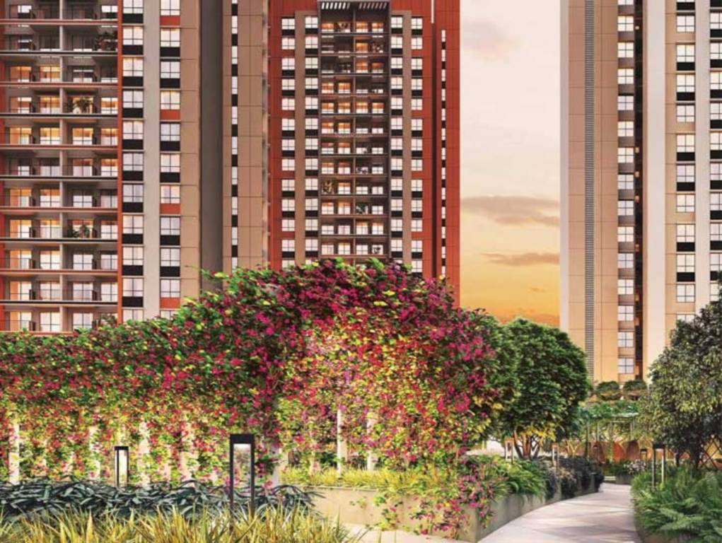  sensorium phase vi Elevation