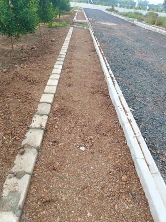  greenswing phase 1 Plot