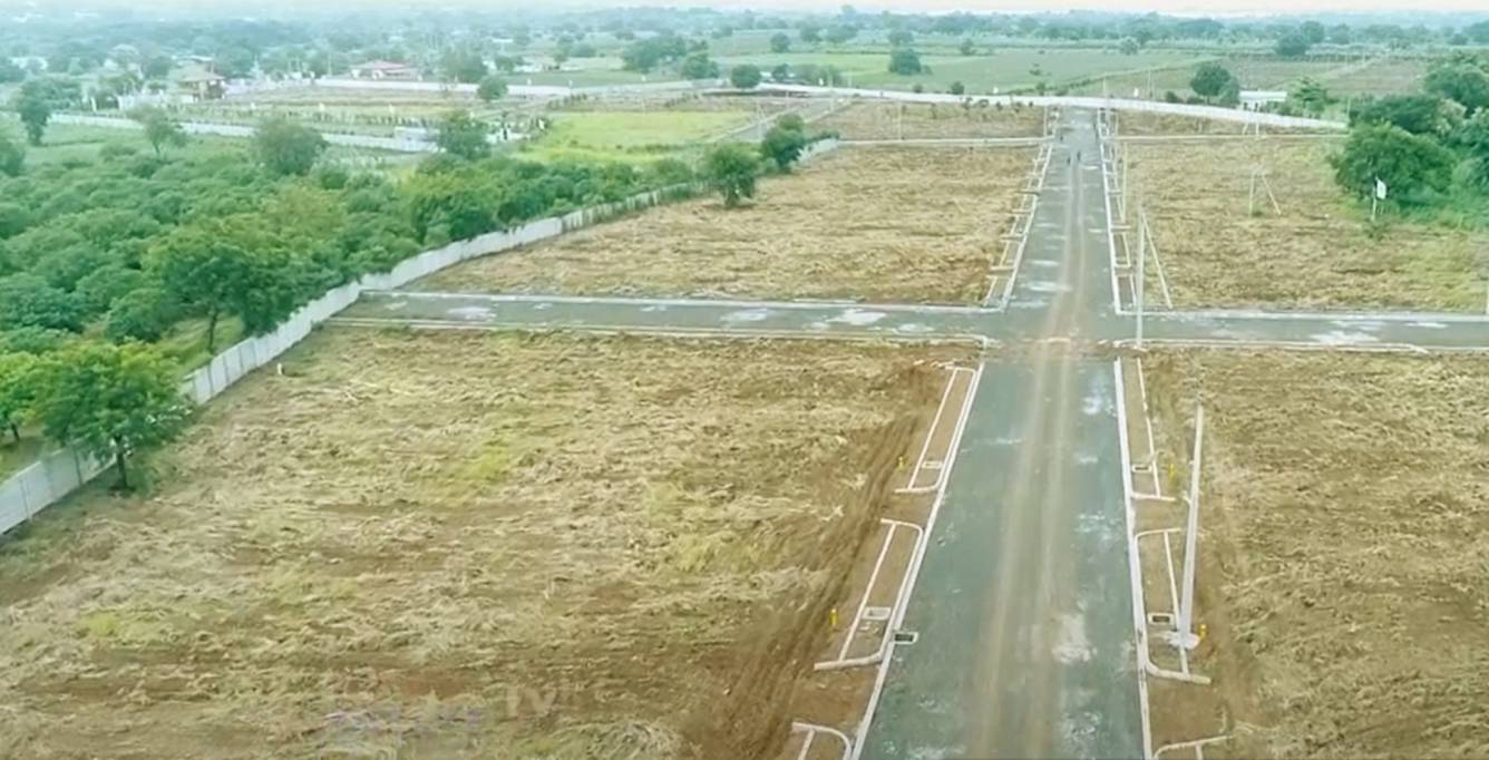  greenswing phase 1 Plot