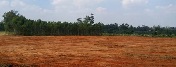  esteem-airfield Plot