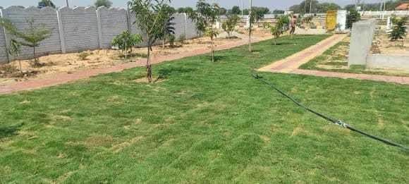  rainbow county Landscape Garden and Tree Planting