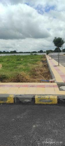  rainbow-county Landscape Garden and Tree Planting