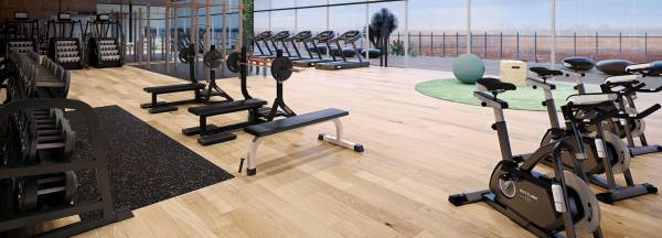  yoo-one-phase-i Gymnasium