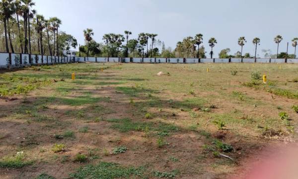 Elevation tapovan Elevation