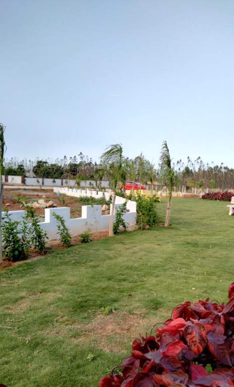 tapovan Plot